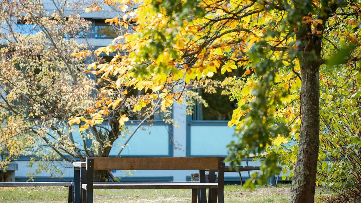Vorhersage: Kühler und regnerischer: Wetterumschwung am Wochenende