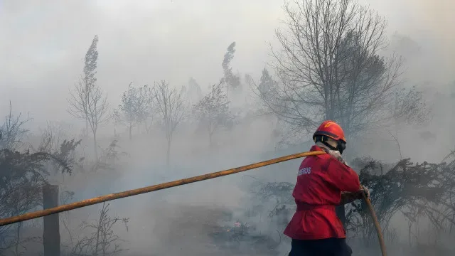 Quatro bombeiros feridos em despiste de veículo em Arouca