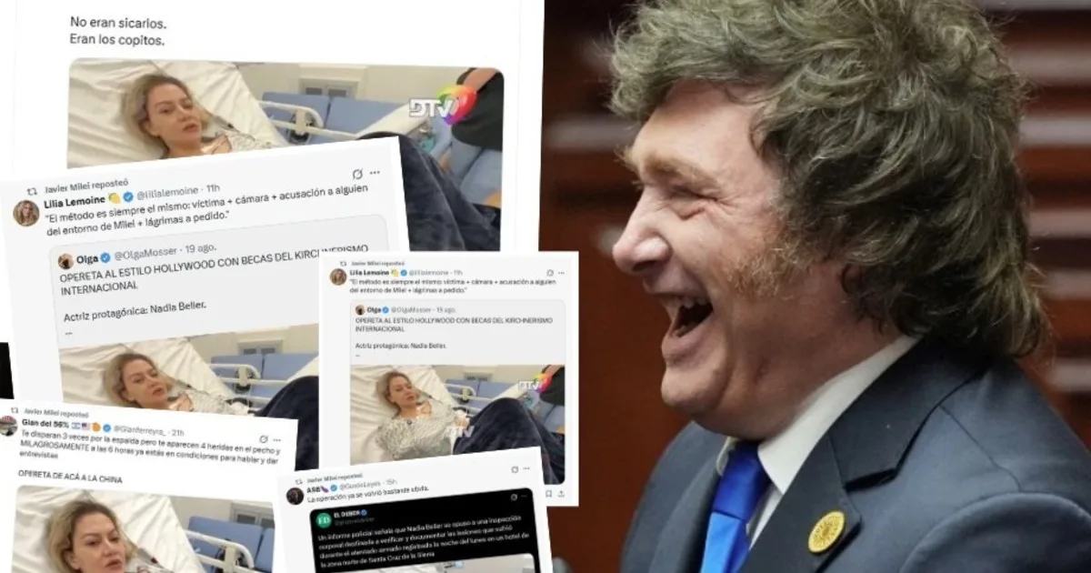 "No eran sicarios. Eran los copitos", Milei replicó mensajes en redes que ponen en duda el atentado a la expareja de Fernando Cerimedo