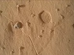 NASA discovers mysterious holes punched into the surface of Mars - and scientists have no idea what created them