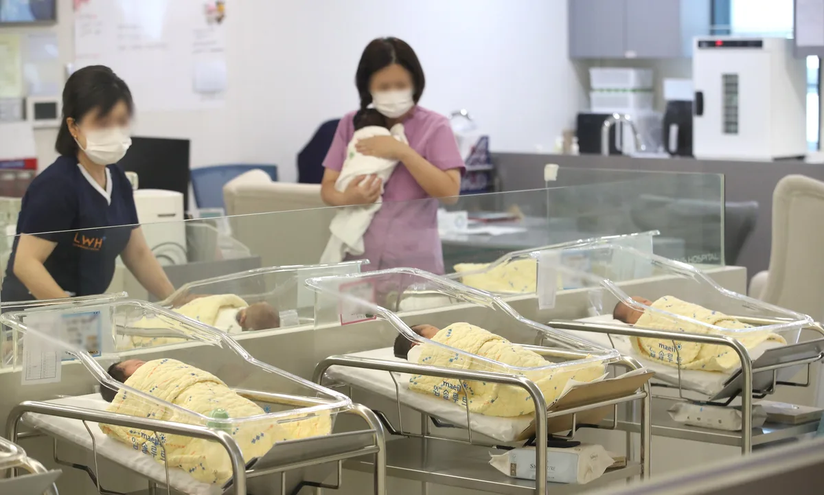 한국인이 많이 받은 수술... 50대 이상 백내장, 40대 치핵, 2030은?