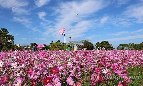 제주 대체로 맑고 일교차 커…낮 최고 26∼28도