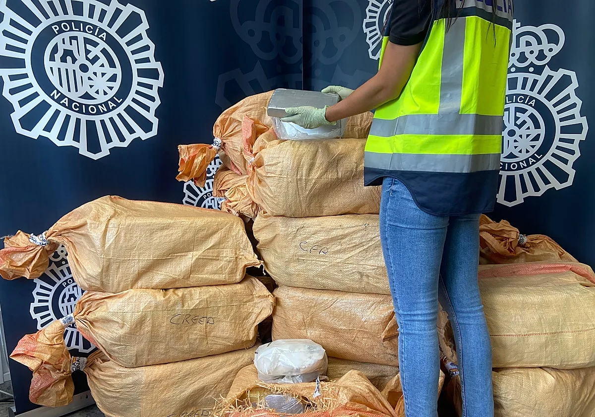 Intervienen más de media tonelada de cocaína en 18 fardos en plena Ruta de la Plata