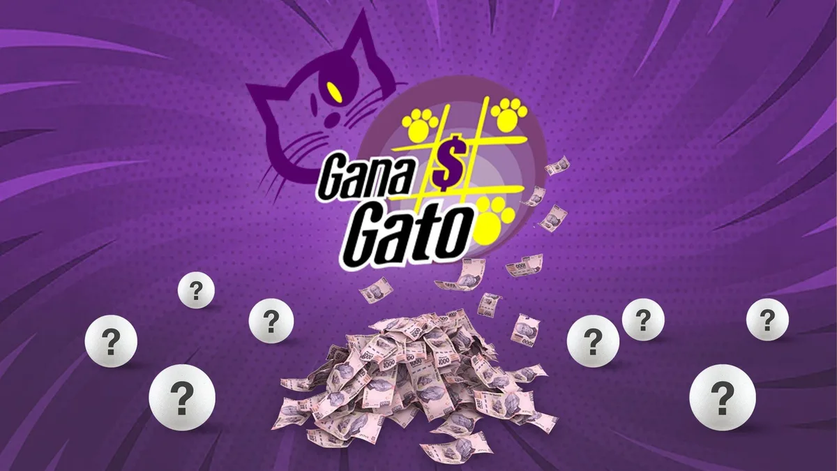 Lotería Nacional: dónde ver los números ganadores del Gana Gato de este sábado 29 de agosto