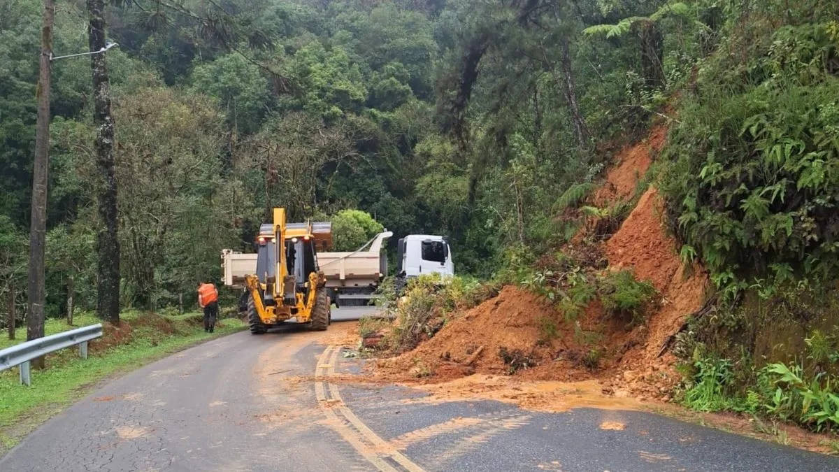 Chuva castiga cidade de SC com alagamentos, deslizamentos e quedas de árvores