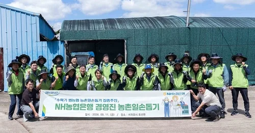 [게시판] 강태영 NH농협은행장, 제주서 감귤 재배 농가 일손돕기