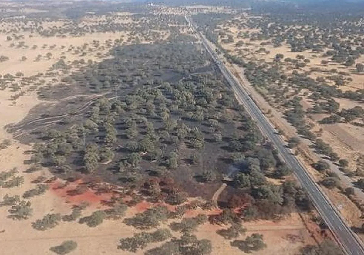 Incendio en Obejo: Un coche en llamas desata un fuego y obliga a movilizar a 45 efectivos del Infoca y 2 helicópteros