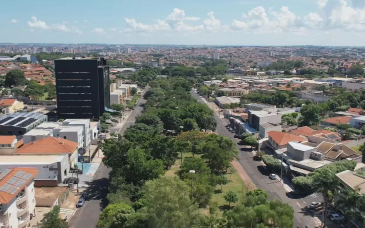 Justiça suspende licitação para obra que prevê retirada de 943 árvores em avenida de Rio Preto