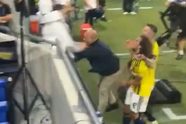 Ex-Arsenal villain speaks out after sparking wild brawl with karate kicks and tunnel punches