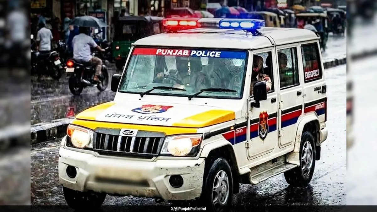 "Terror Plot Averted": Cops Find Bomb, Timer In Suspicious Packet In Amritsar