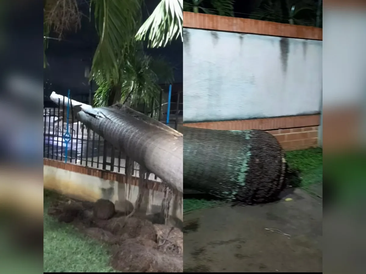Lluvias en Carabobo dejaron sin electricidad a varios sectores