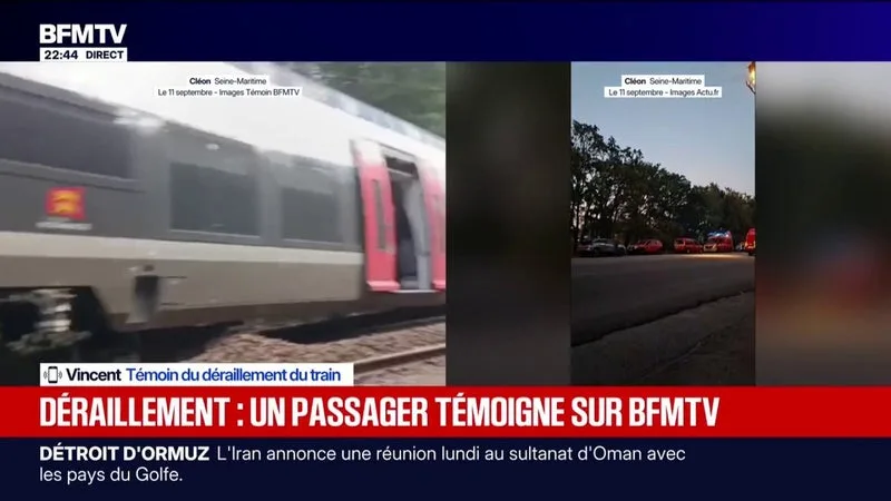 Déraillement d'un train en Seine-Maritime: "On a vu passer le wagon devant nous par la fenêtre", raconte Vincent, témoin de l'accident