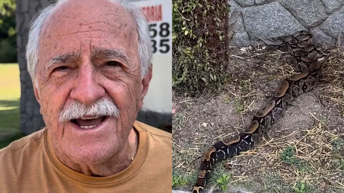 ‘Olha quem veio me visitar’: Ary Fontoura mostra jiboia que apareceu na área externa de casa no Rio
