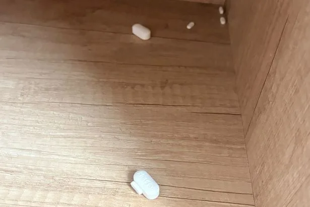 Mum's anger after children find pills in holiday park caravan