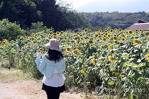 충북 구름 많다가 낮부터 맑아져…낮 최고 25∼29도