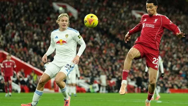 Fußball-Bundesliga: Vuskovic-Nachfolger: HSV leiht Ex-Wolfsburger Bornauw aus