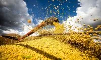 Com crédito limitado, agricultura familiar reúne 77% das propriedades