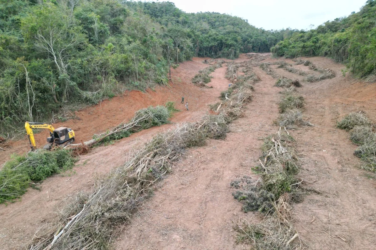 Operação Mata Atlântica em Pé autua mais de 8 mil hectares de desmatamento ilegal
