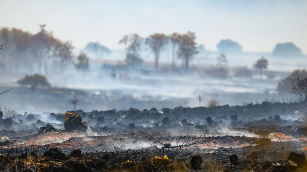 Brand im Hohen Venn: „Fast alles Leben ist erstmal weg“