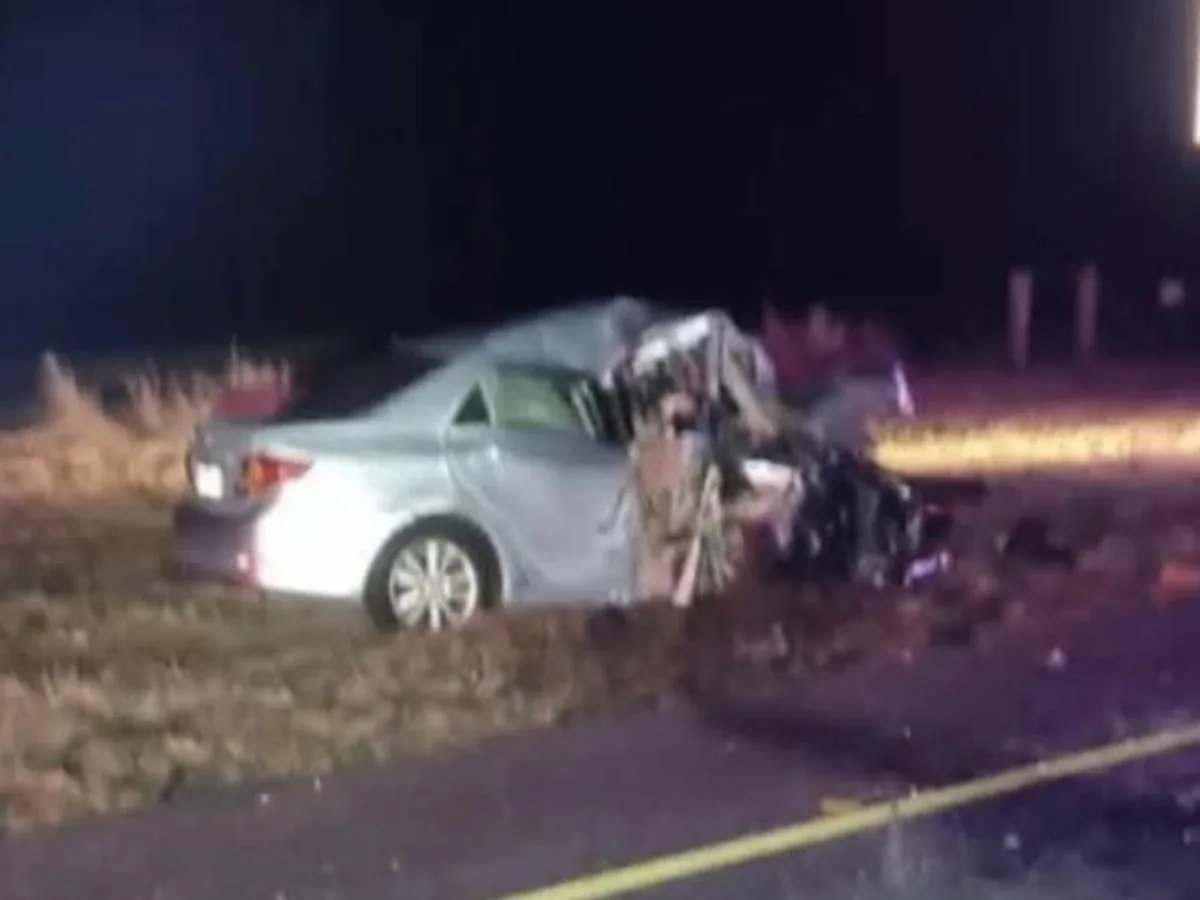 Seven of eight people killed in N17 crash in Mpumalanga identified