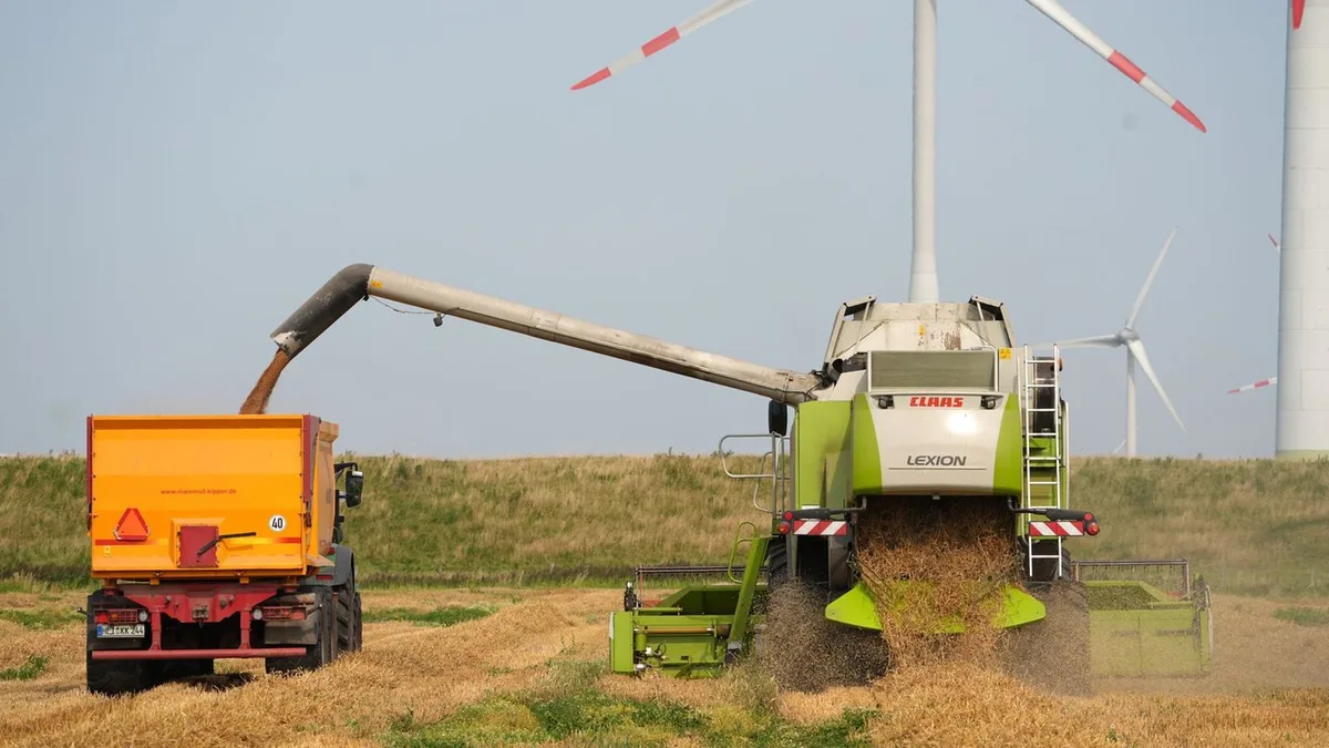 Landwirtschaft im Norden: Schwächere Getreideernte in Schleswig-Holstein