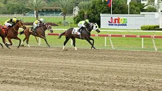 Conoce la hazaña que alcanzará King Seraf si Queen of Dragons gana el Sprinter GII para yeguas
