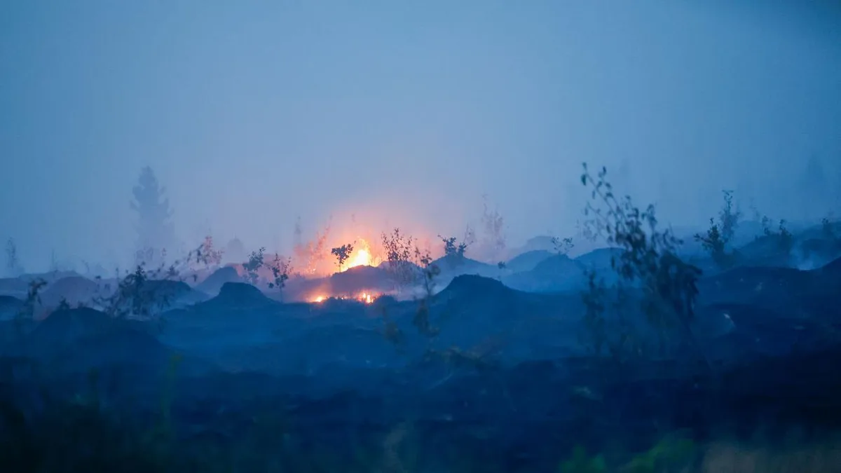Waldbrand: Belgische Behörden fordern Einsatzkräfte aus Deutschland an