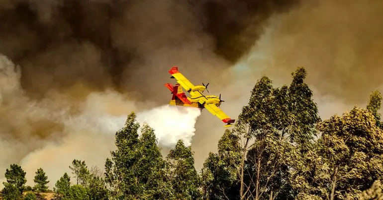 Proteção Civil pede medidas face a risco de incêndio