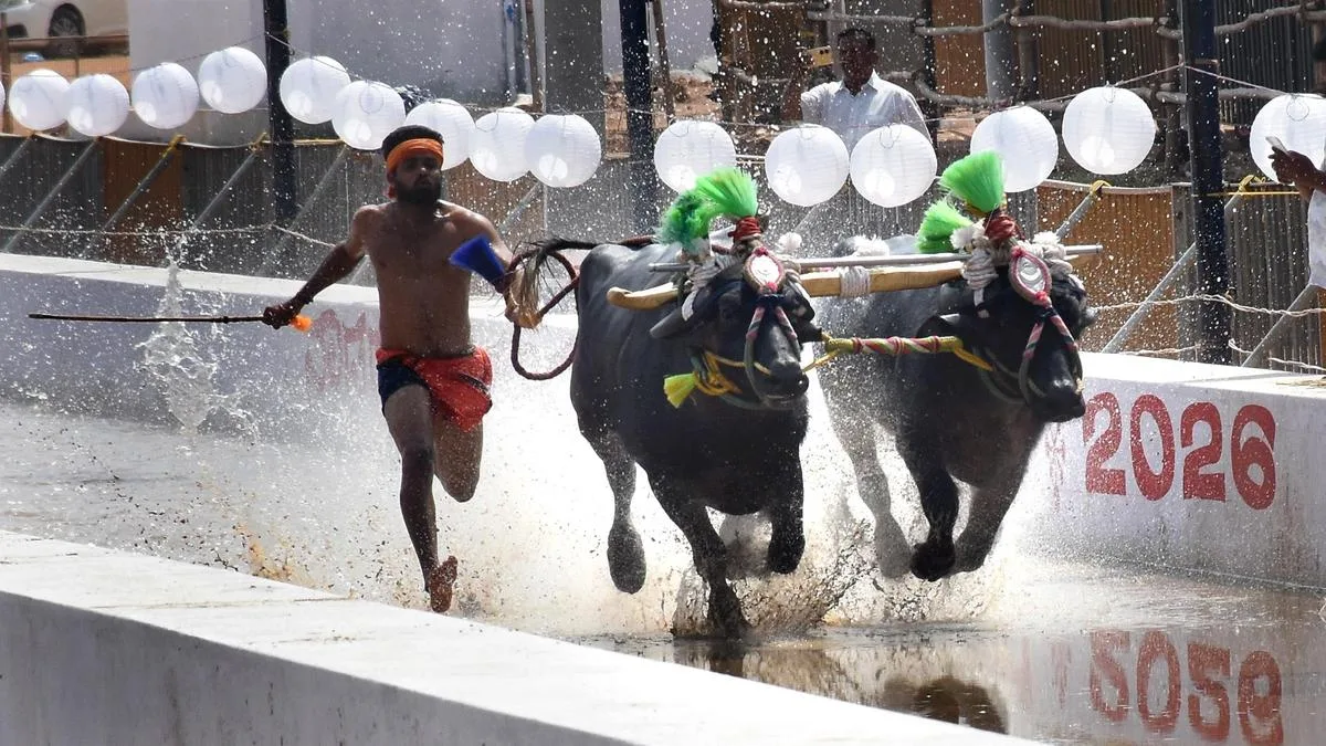 Trial run of Kambala passes off smoothly in Mysuru