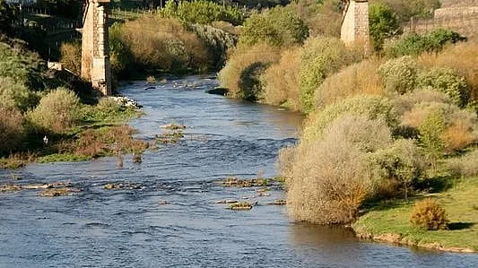 APA investiga causas da morte de peixes no rio Corgo em Vila Real
