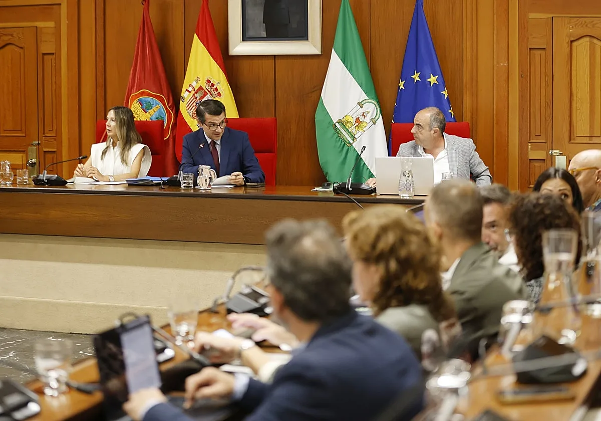 Los trabajadores del Ayuntamiento de Córdoba interrumpen el Pleno para exigir el abono de sus nóminas pendientes