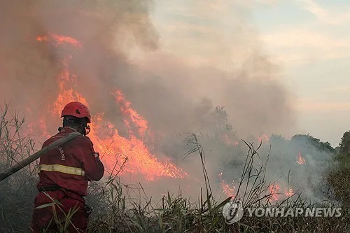 인니, 산불 확산에 강경 대응…기업 6곳 제재·방화범 72명 체포