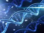 The clues in human DNA that prove life had an intelligent creator, according to a medical scientist