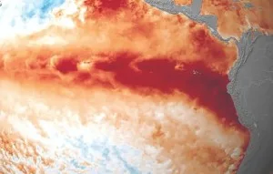 Novas projeções apontam El Niño de intensidade inédita em séculos