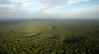 Desmatamento na Amazónia e no Cerrado brasileiro com a menor taxa da série histórica