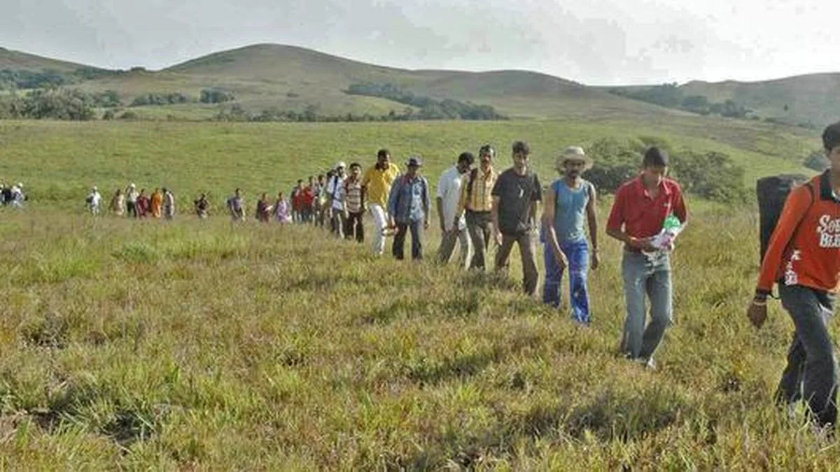 Kodagu: Unauthorised trekking, drone flights banned in Nelji-Peruru