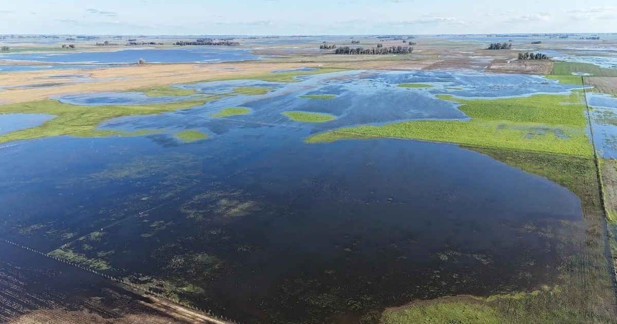 El agro en la cuerda floja: la asignatura pendiente del seguro climático