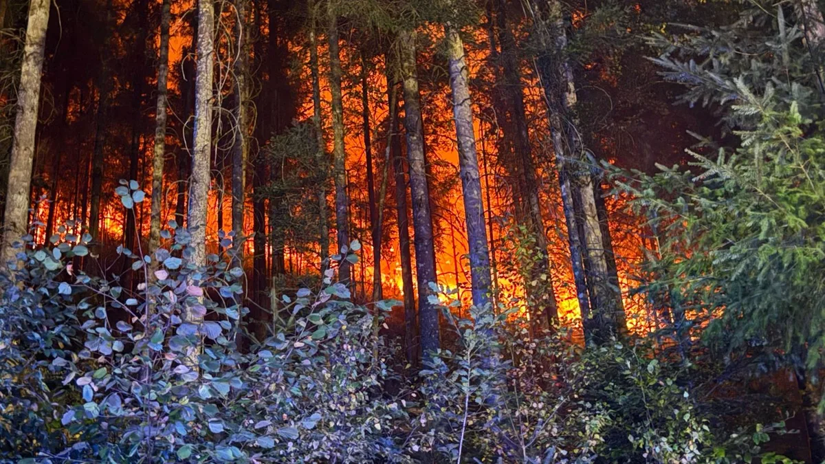 Hunderte Feuerwehrleute: Feuer in Waldstück bei Schramberg weitestgehend gelöscht