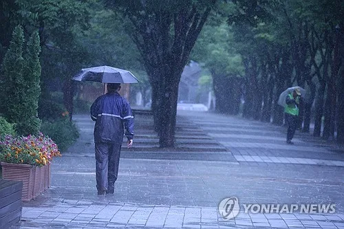 대전·세종·충남 흐리고 종일 비…최대 80㎜