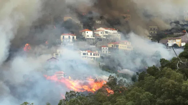 Incêndios: Protocolo para 2.º meio aéreo para a Madeira já foi assinado