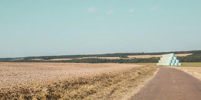 EN DIRECT, incendies et canicule : posez vos questions à notre journaliste Léa Sanchez sur la sécheresse historique qui frappe la France