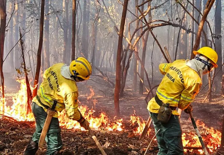 Área queimada no Pantanal fica 76% abaixo da média histórica