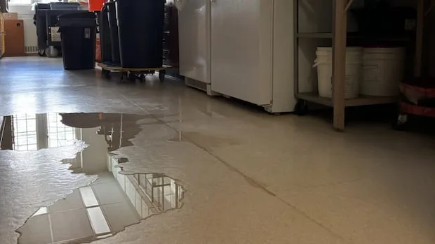 Western University biology department faces research delays, sample losses after 4-day power outage