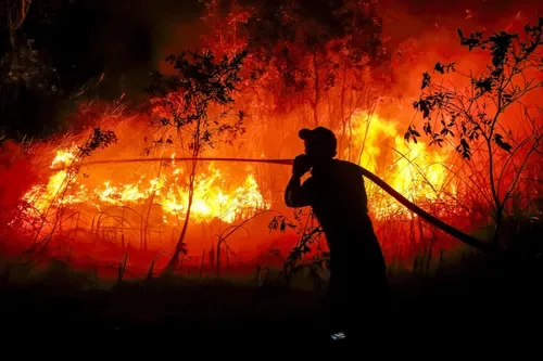 A green fuel boom is incinerating the rainforest