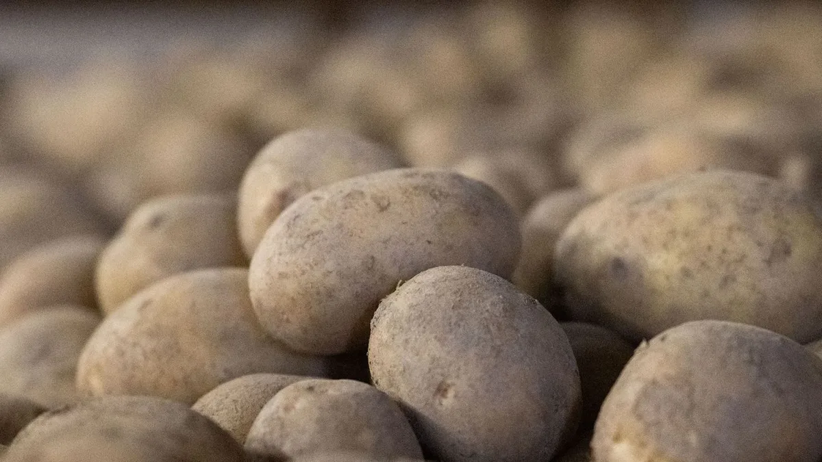 Ernte: Dürre und Hitze belasten Ernten – Direktvermarkter leiden