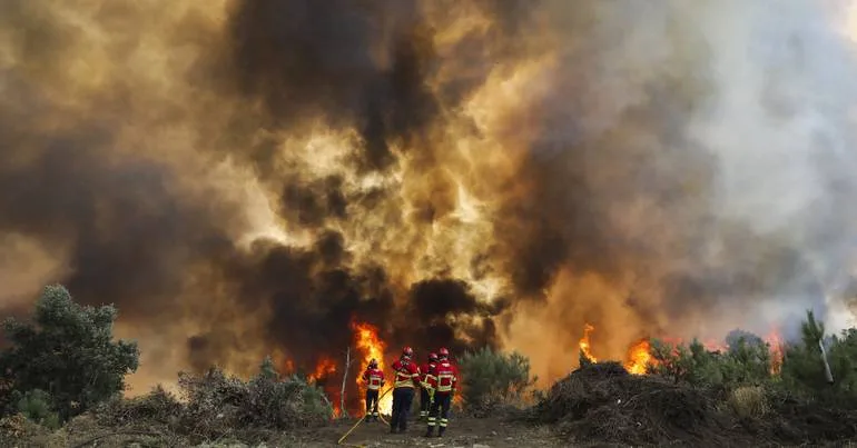 Incêndios. 50 concelhos em risco muito elevado