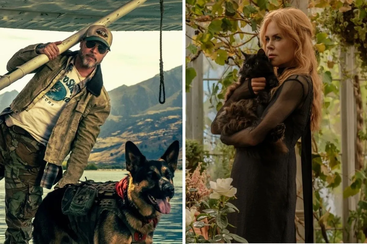 Brad Pitt, Nicole Kidman e mais estrelas dominam estreias de setembro nos cinemas