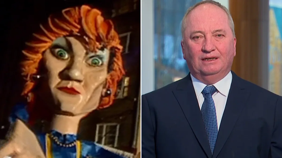 Barnaby Joyce slams ‘vindictive trope’ labelling One Nation as homophobic while adding a letter to LGBTQI+ acronym