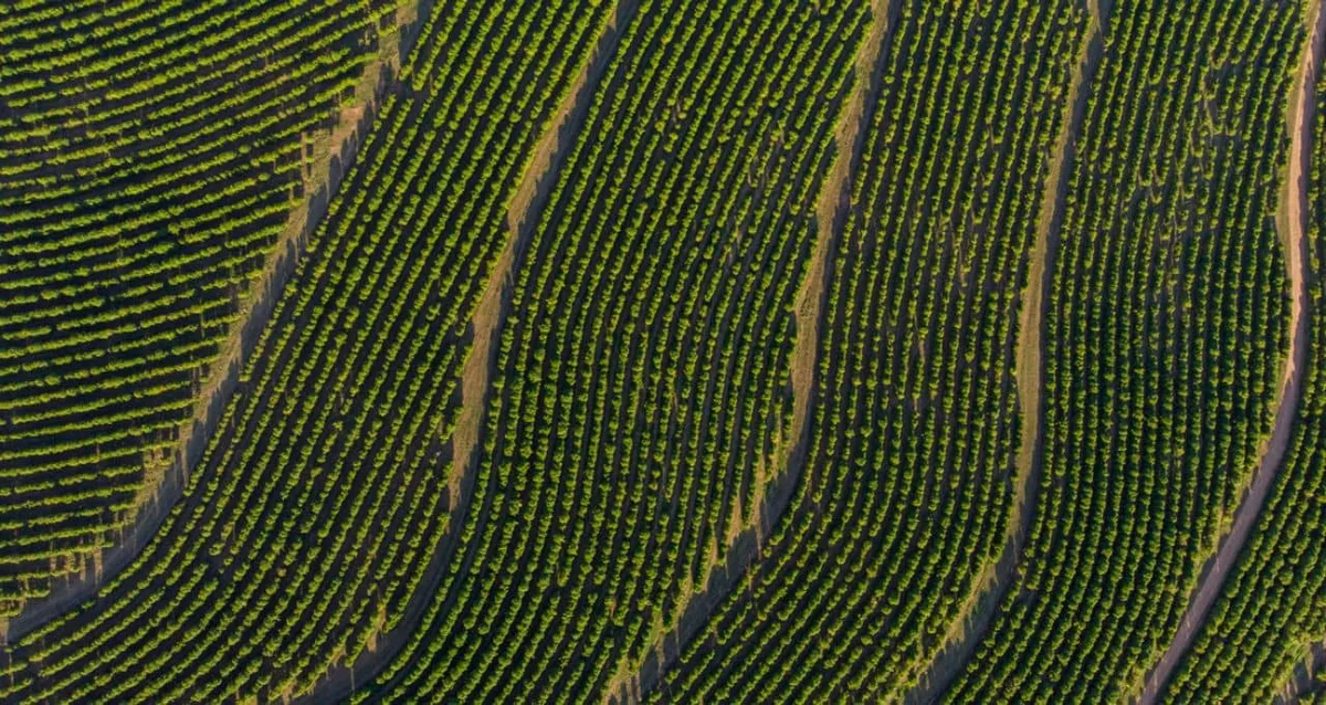 Opinião — Agroambiental em 2027: menos narrativas políticas, mais resultados
