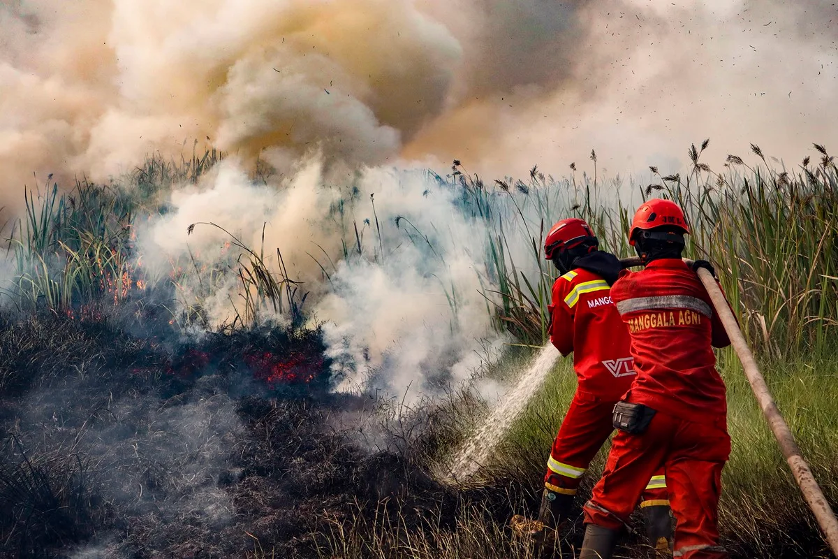 Indonésia: incêndios florestais ameaçam liberar "bombas" de carbono